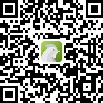 Play Store QR