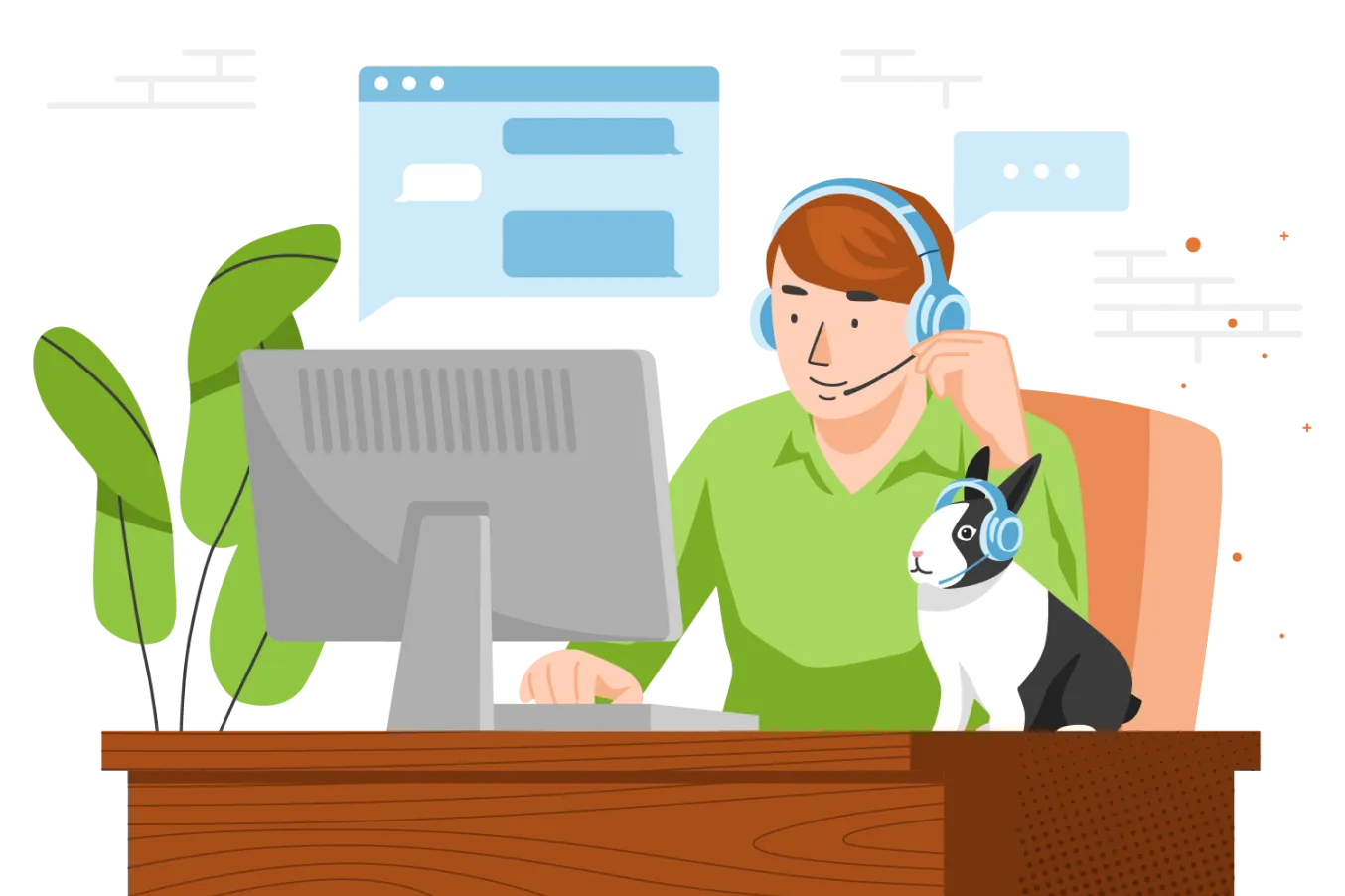 Customer Support Agent